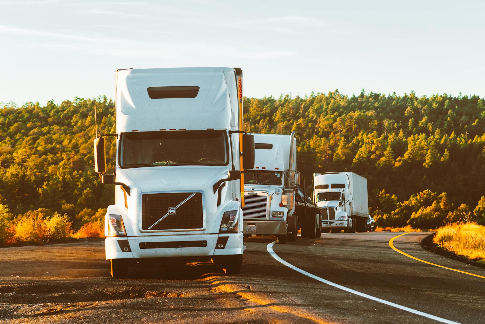 White Volvo Semi-truck on Side of Road, cargo